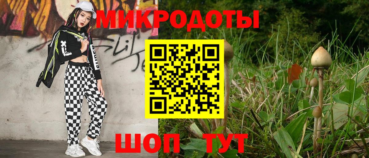 Тимашёвск  Псилоцибиновые грибы мицелий  Вход с VPN 