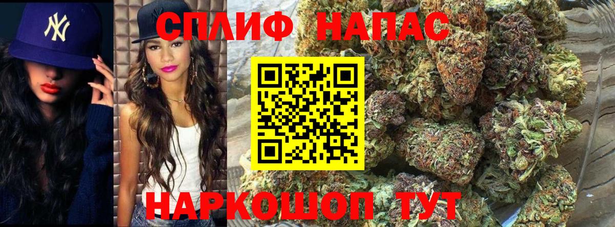 Шишки марихуана конопля Тимашёвск